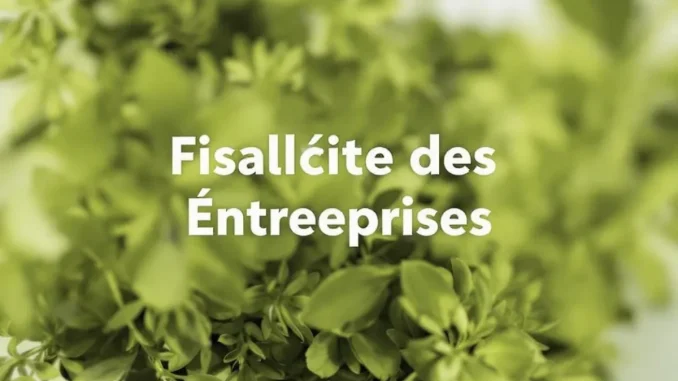 fiscalite-des-entrep